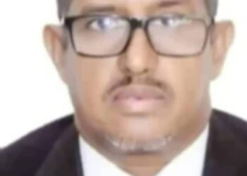 قضية الهجرة غير الشرعيةتثير المخاوف و تحدث الإنقسام في الرأي العام